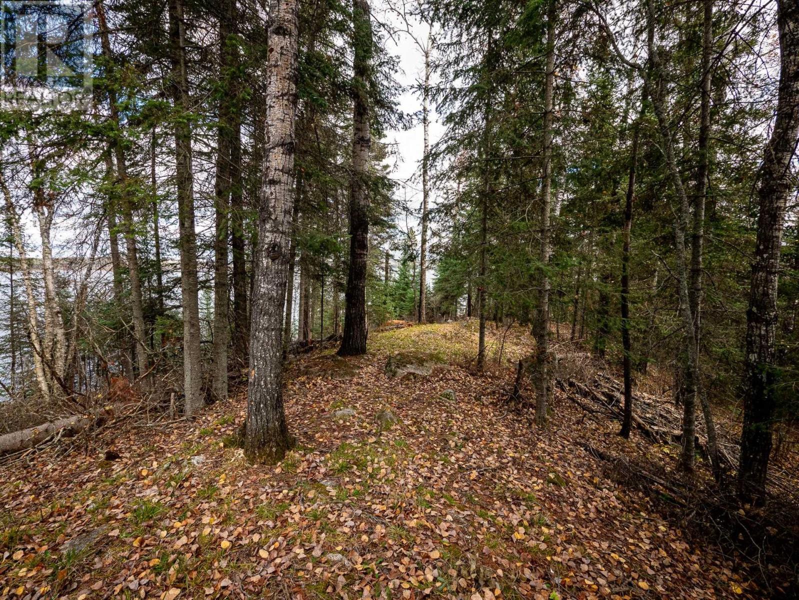 67 Coward Rd, Laclu, Ontario P0X 1C0 - Photo 22 - TB253428