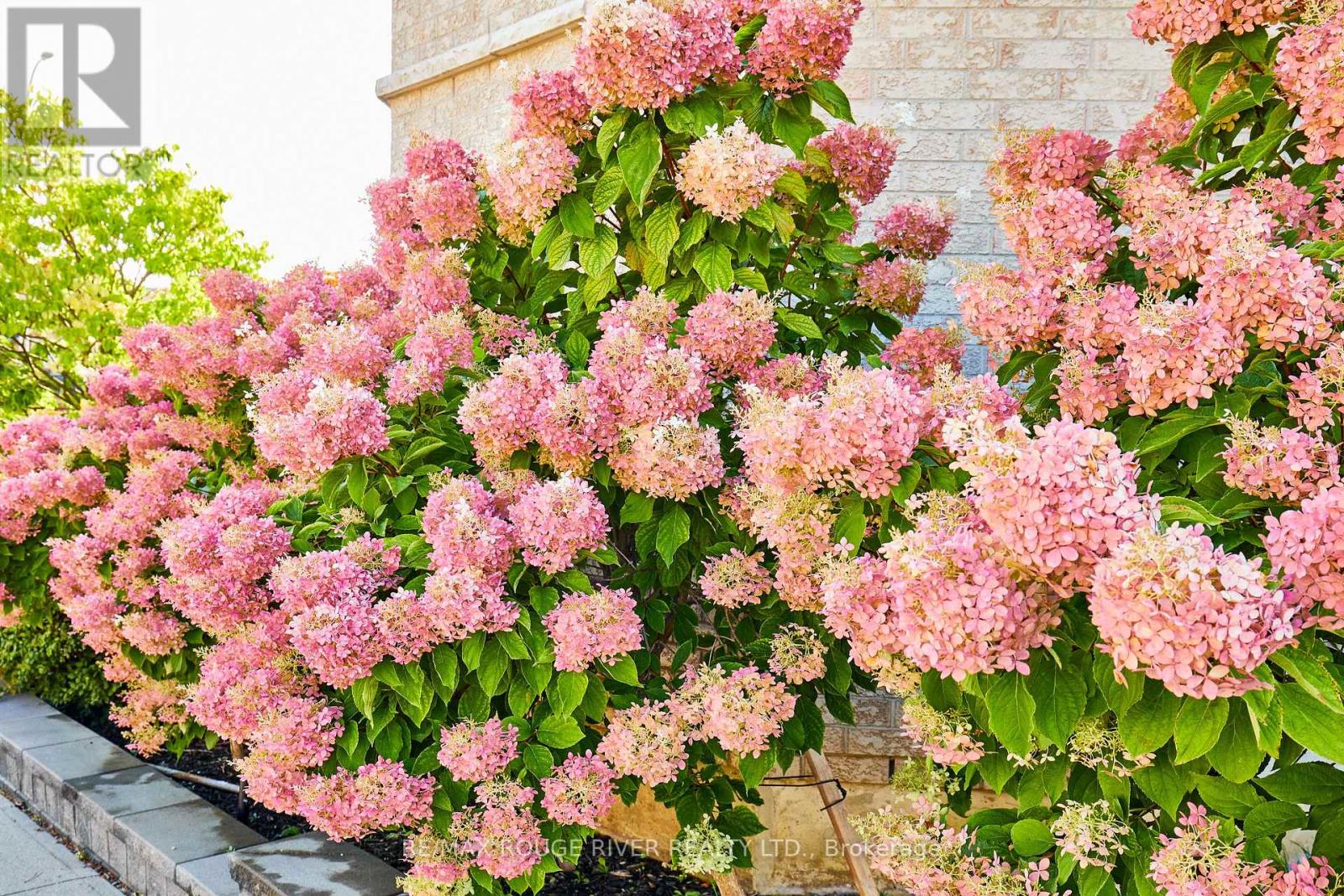 2 - 72 Petra Way, Whitby, Ontario  L1R 0A3 - Photo 30 - E12415196