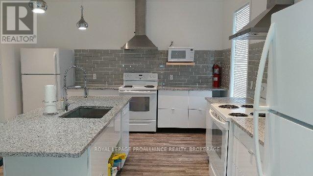 215 Division Street, Kingston, Ontario  K7K 3Z2 - Photo 4 - X12579598