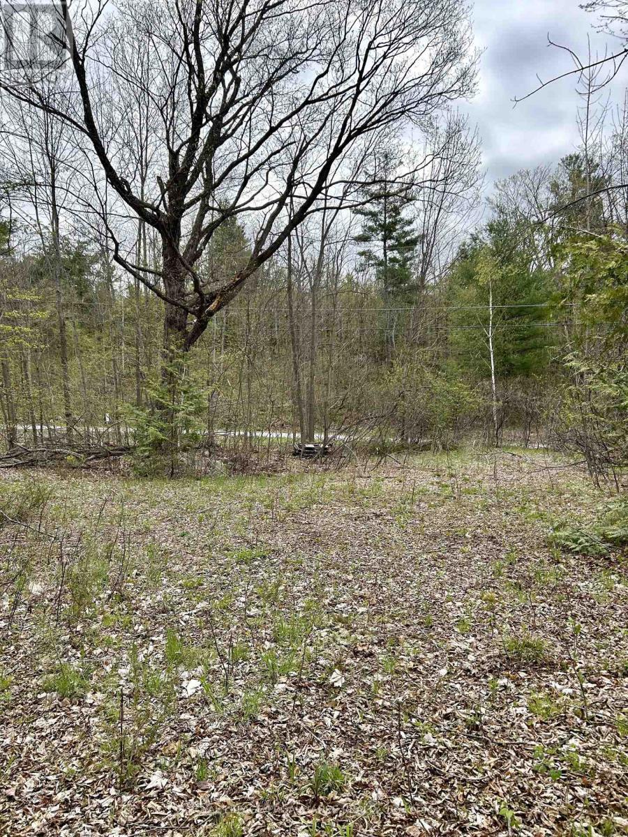 31 Glen Ridge Road, Marmora And Lake, Ontario  K0K 2M0 - Photo 6 - X12579690