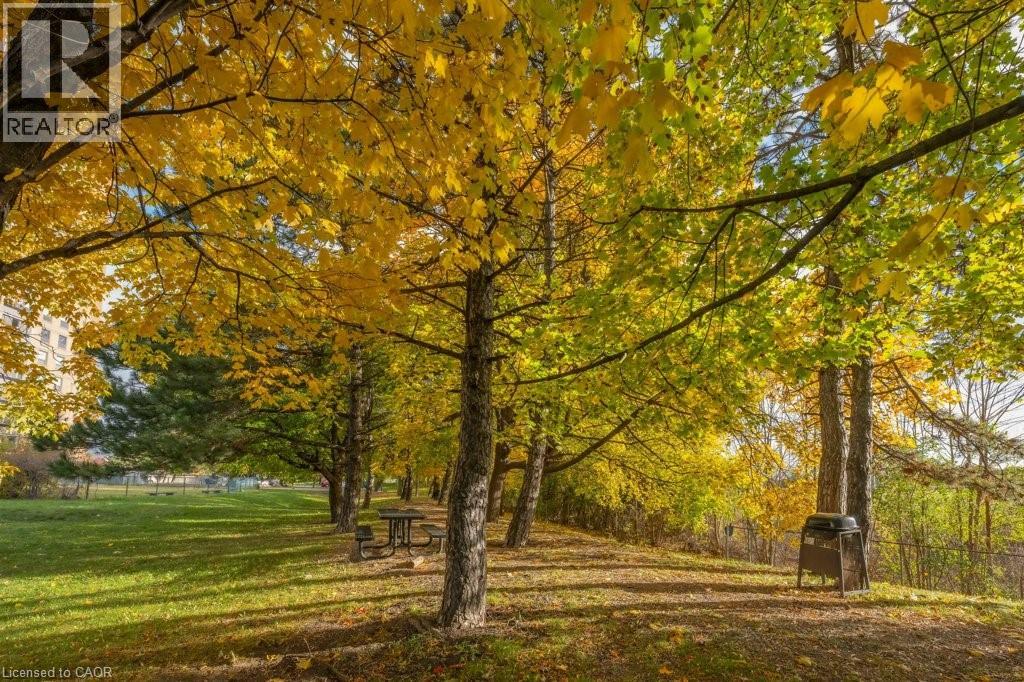 716 The West Mall Drive Unit# 1612, Etobicoke, Ontario  M9C 4X6 - Photo 38 - 40786868