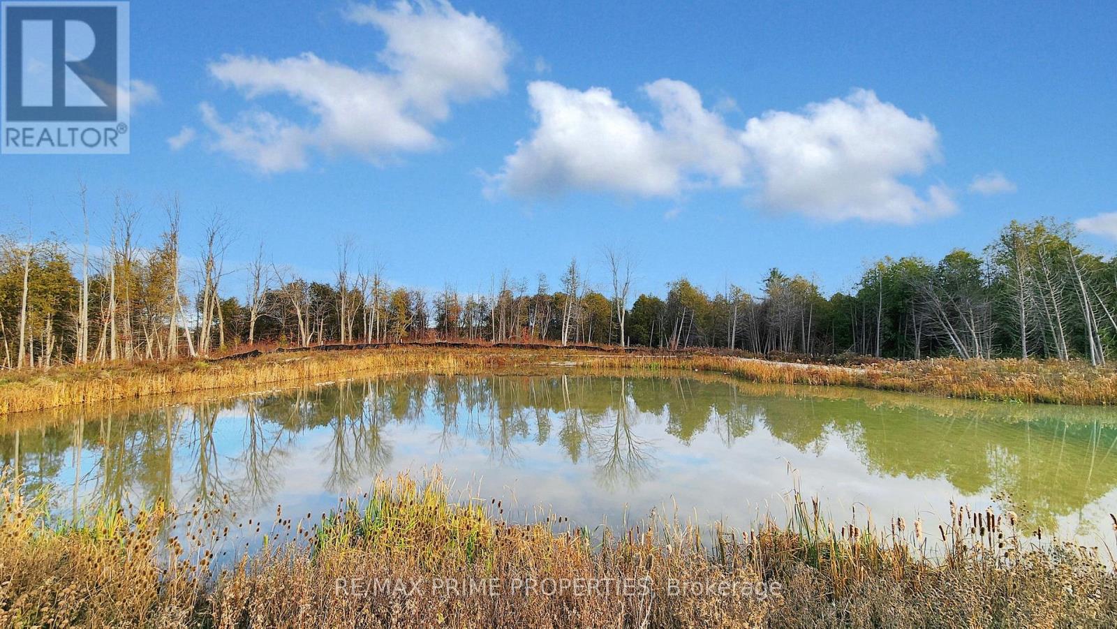 113 Blue Forest Crescent, Barrie (Innis-Shore), Ontario  L9J 0N7 - Photo 50 - S12579694