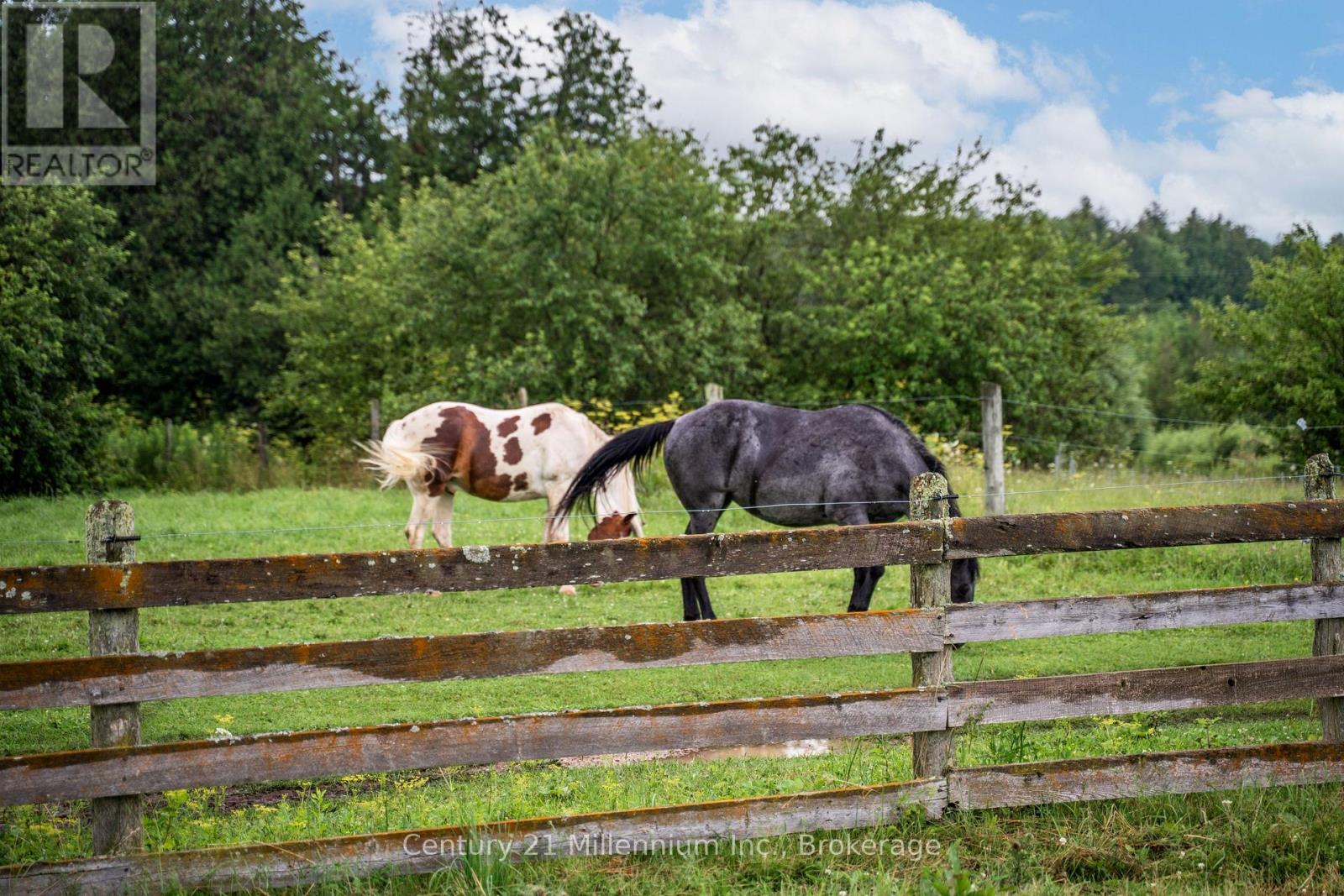 21 Station Street, Amaranth, Ontario  L9W 0V2 - Photo 22 - X12579768