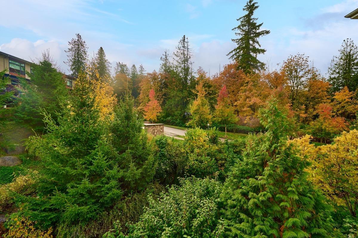 311 16396 64 Avenue, Surrey, British Columbia  V3S 6X6 - Photo 6 - R3070383