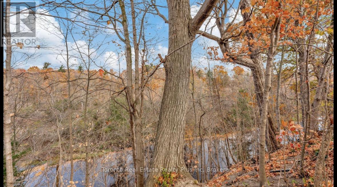 5467 Sixth Line, Milton, Ontario  L9E 0X2 - Photo 17 - W12579596