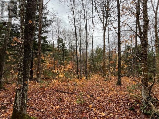 Highway 638, Echo Bay, Ontario  P0S 1C0 - Photo 2 - SM253029