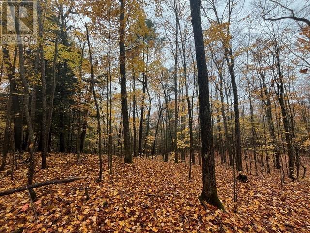 Highway 638, Echo Bay, Ontario  P0S 1C0 - Photo 9 - SM253029