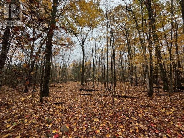 Highway 638, Echo Bay, Ontario  P0S 1C0 - Photo 5 - SM253029