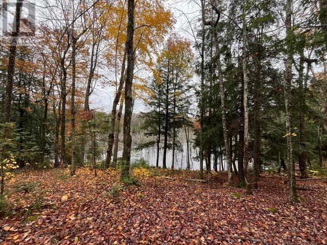 Highway 638, Echo Bay, Ontario  P0S 1C0 - Photo 6 - SM253029