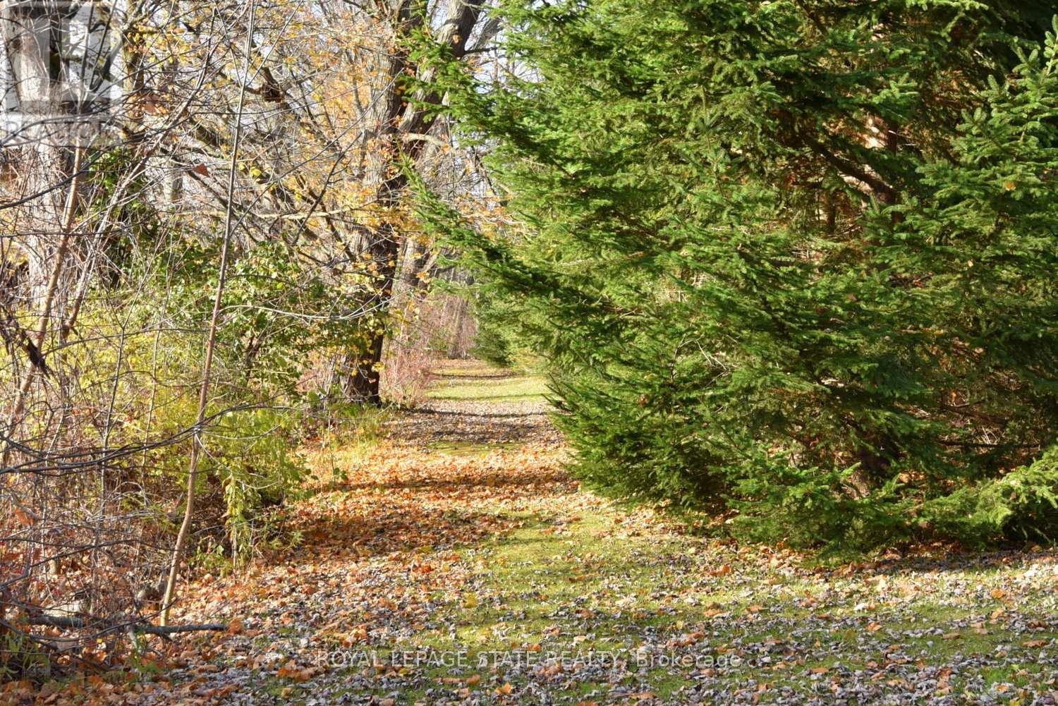 104 Diltz Road, Haldimand, Ontario N1A 2V5 - Photo 46 - X12579082