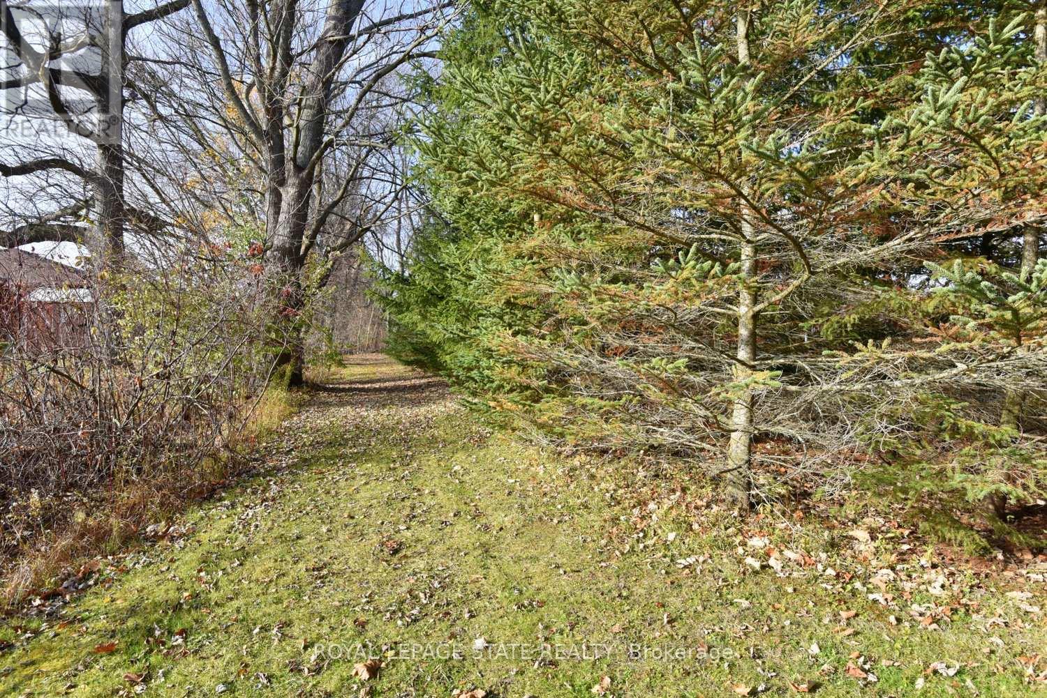 104 Diltz Road, Haldimand, Ontario N1A 2V5 - Photo 47 - X12579082