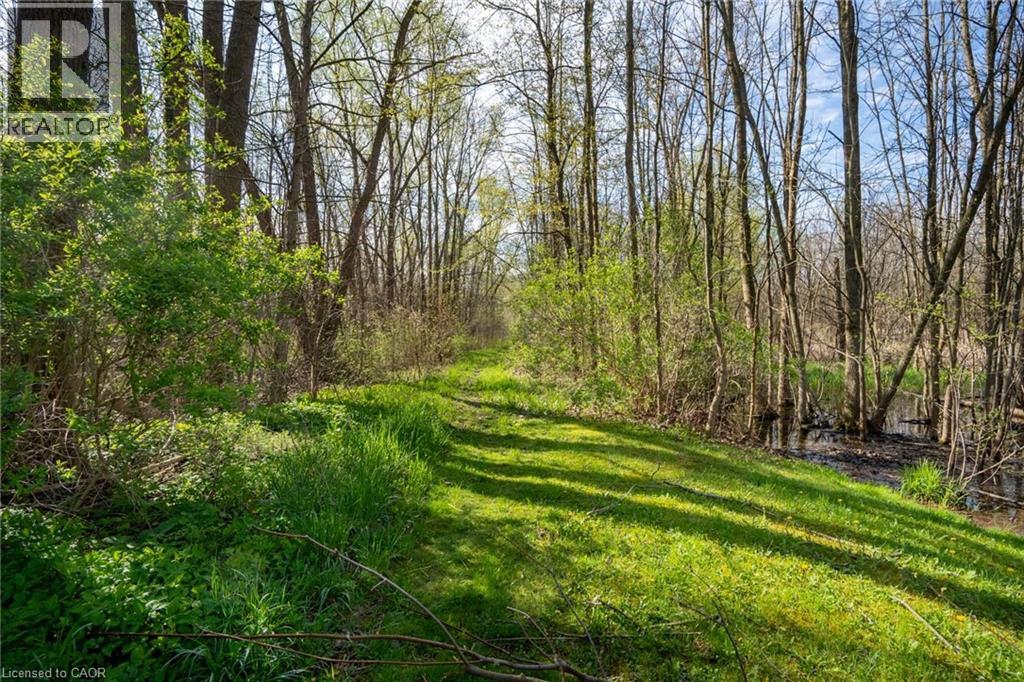 Pc Lot 15 4th Concession Rd W, Hamilton, Ontario  L8B 0L5 - Photo 4 - 40722764