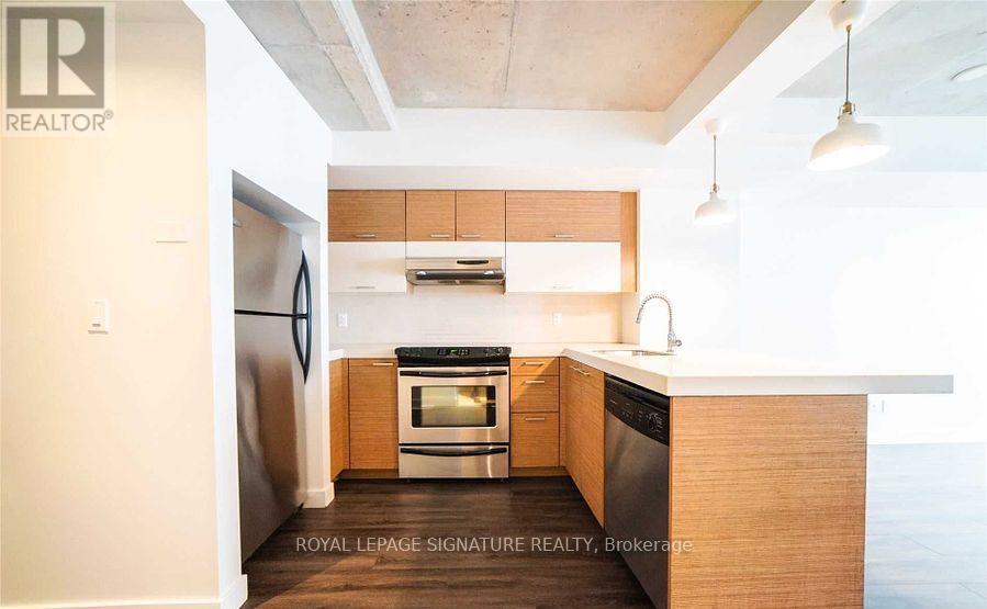 105 - 55 Stewart Street, Toronto, Ontario  M5V 2V1 - Photo 4 - C12579956