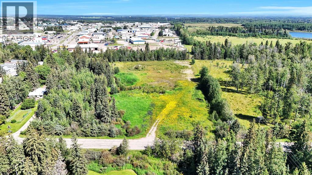 4304 42 Avenue, Rocky Mountain House, Alberta  T4T 1L8 - Photo 1 - A2246003