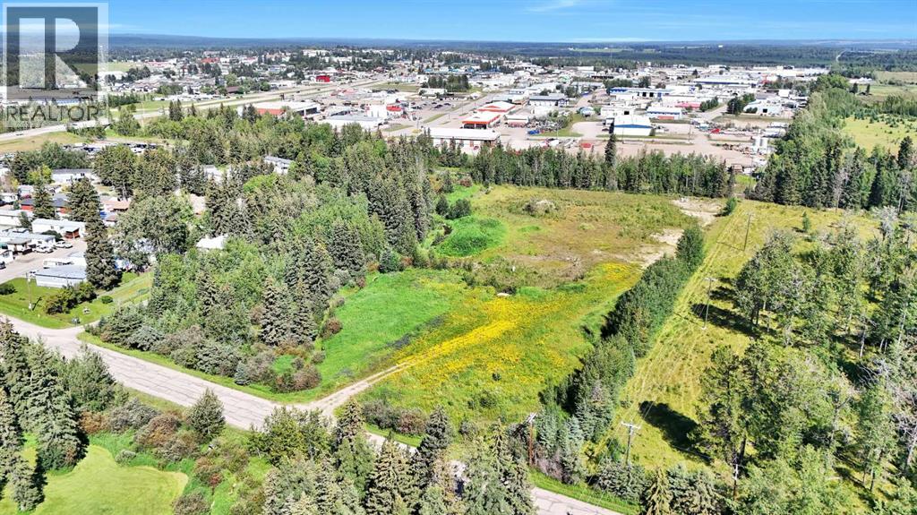 4304 42 Avenue, Rocky Mountain House, Alberta  T4T 1L8 - Photo 2 - A2246003