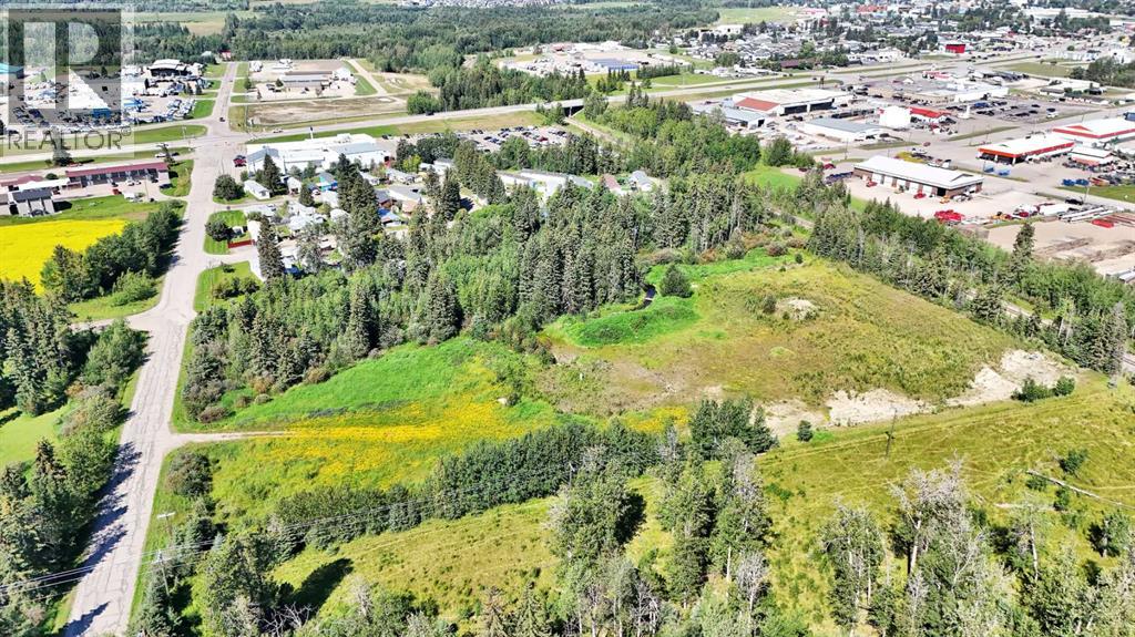 4304 42 Avenue, Rocky Mountain House, Alberta  T4T 1L8 - Photo 4 - A2246003