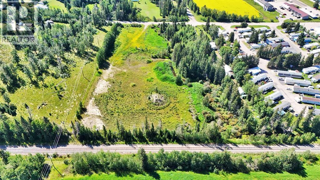 4304 42 Avenue, Rocky Mountain House, Alberta  T4T 1L8 - Photo 9 - A2246003