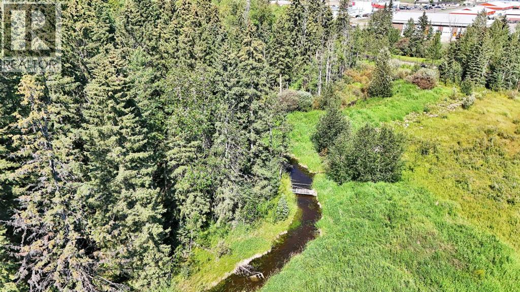 4304 42 Avenue, Rocky Mountain House, Alberta  T4T 1L8 - Photo 13 - A2246003