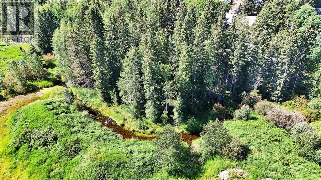 4304 42 Avenue, Rocky Mountain House, Alberta  T4T 1L8 - Photo 14 - A2246003