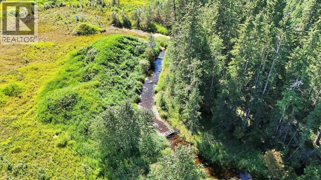 4304 42 Avenue, Rocky Mountain House, Alberta  T4T 1L8 - Photo 18 - A2246003