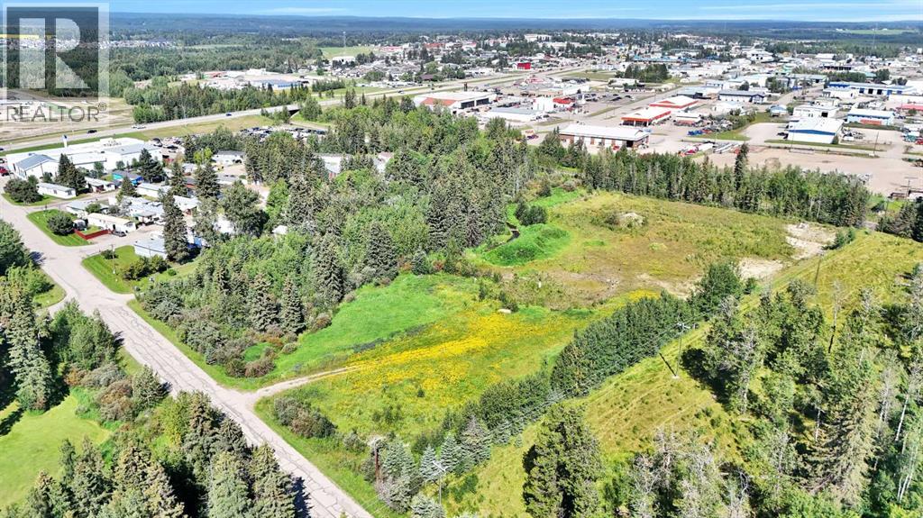 4304 42 Avenue, Rocky Mountain House, Alberta  T4T 1L8 - Photo 3 - A2246003