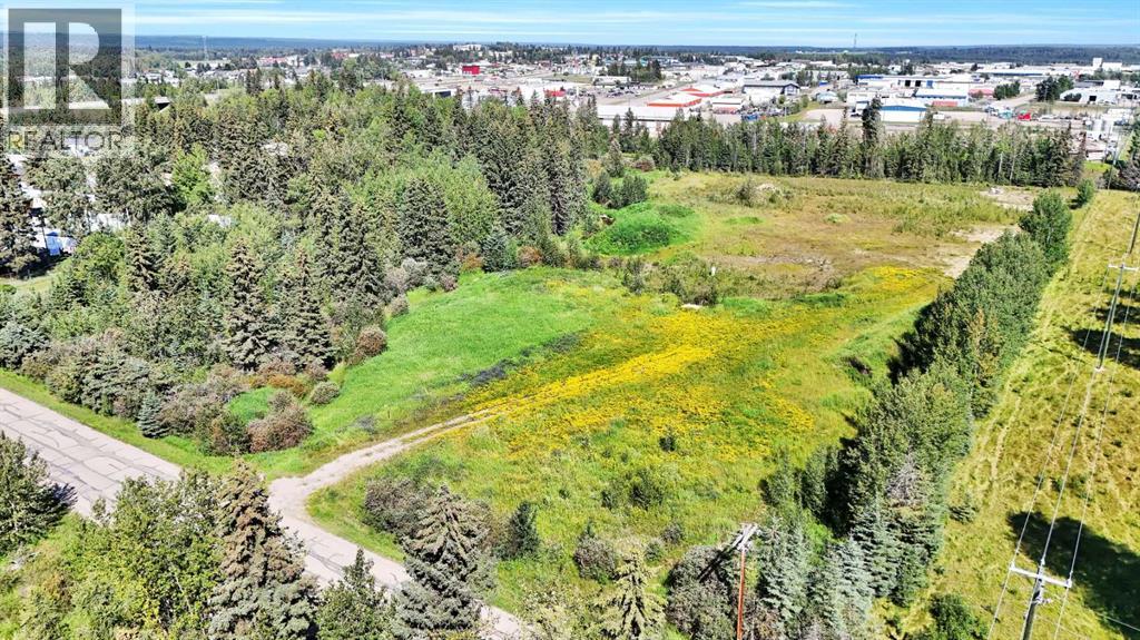 4304 42 Avenue, Rocky Mountain House, Alberta  T4T 1L8 - Photo 20 - A2246003