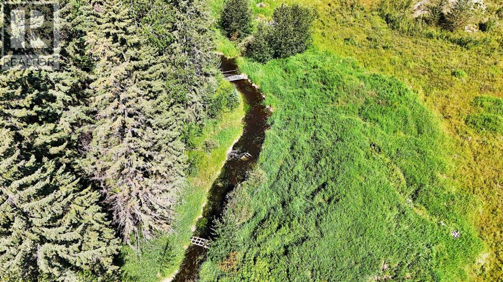 4304 42 Avenue, Rocky Mountain House, Alberta  T4T 1L8 - Photo 16 - A2246003