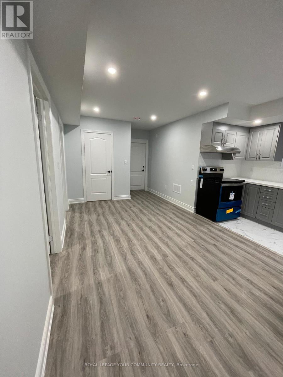 Basement - 306 Cedar Hedge Road, Milton, Ontario  L9T 8V3 - Photo 6 - W12579866