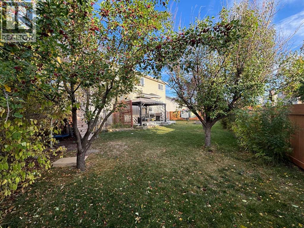 62 Canoe Circle Sw, Airdrie, Alberta  T4B 2L6 - Photo 35 - A2271935