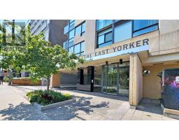209 - 280 DONLANDS AVENUE, Toronto, Ontario