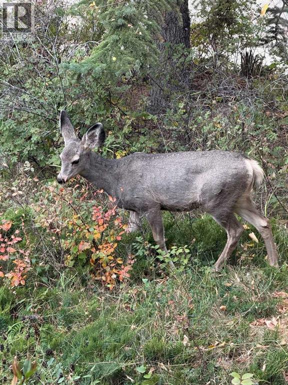49 Pamely Avenue, Red Deer, Alberta  T4P 1L2 - Photo 31 - A2268940