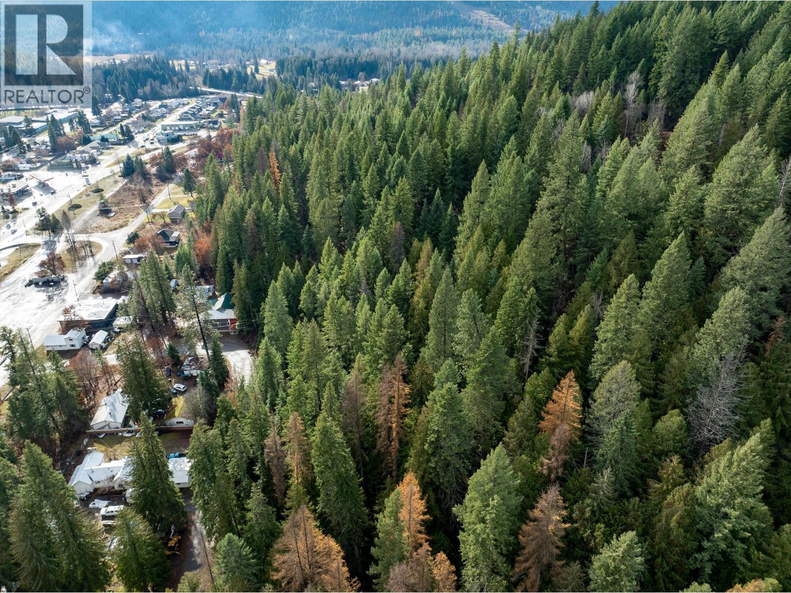 Lot A Maclure Avenue, Salmo, British Columbia  V0G 1Z0 - Photo 24 - 10361436