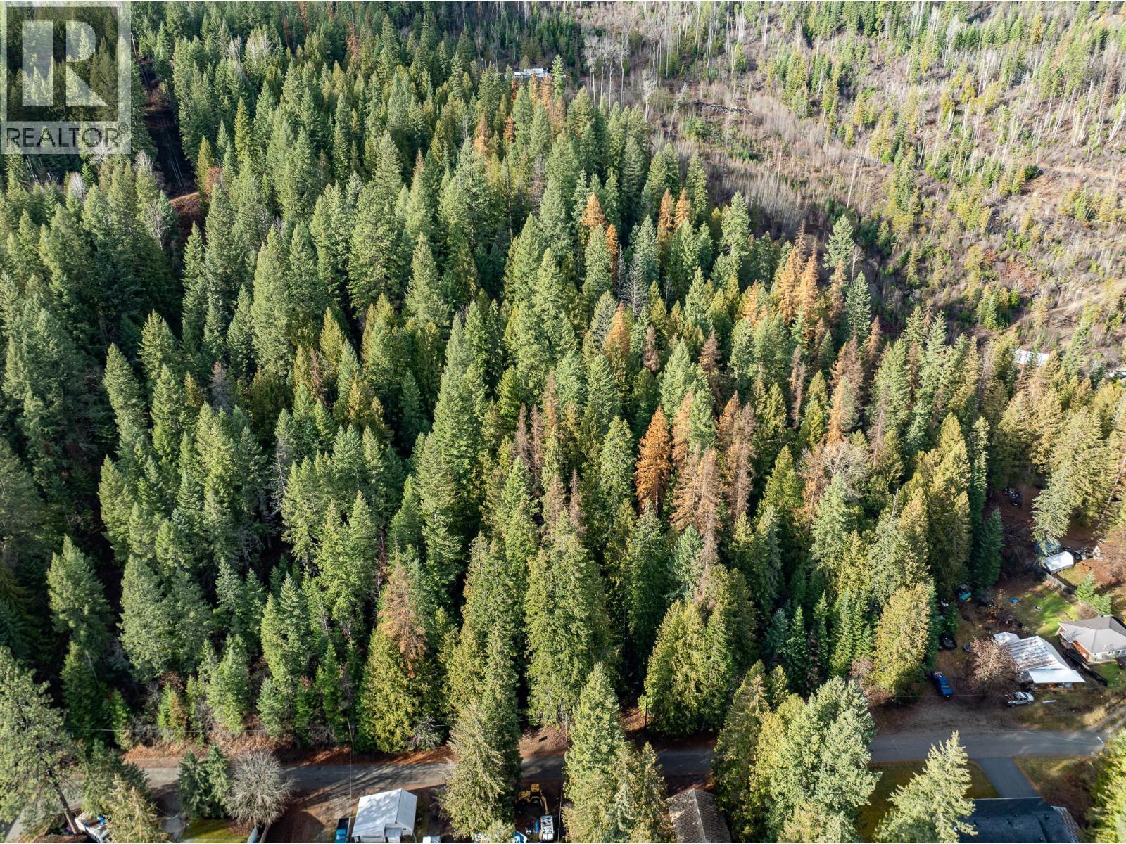 Lot A Maclure Avenue, Salmo, British Columbia  V0G 1Z0 - Photo 27 - 10361436