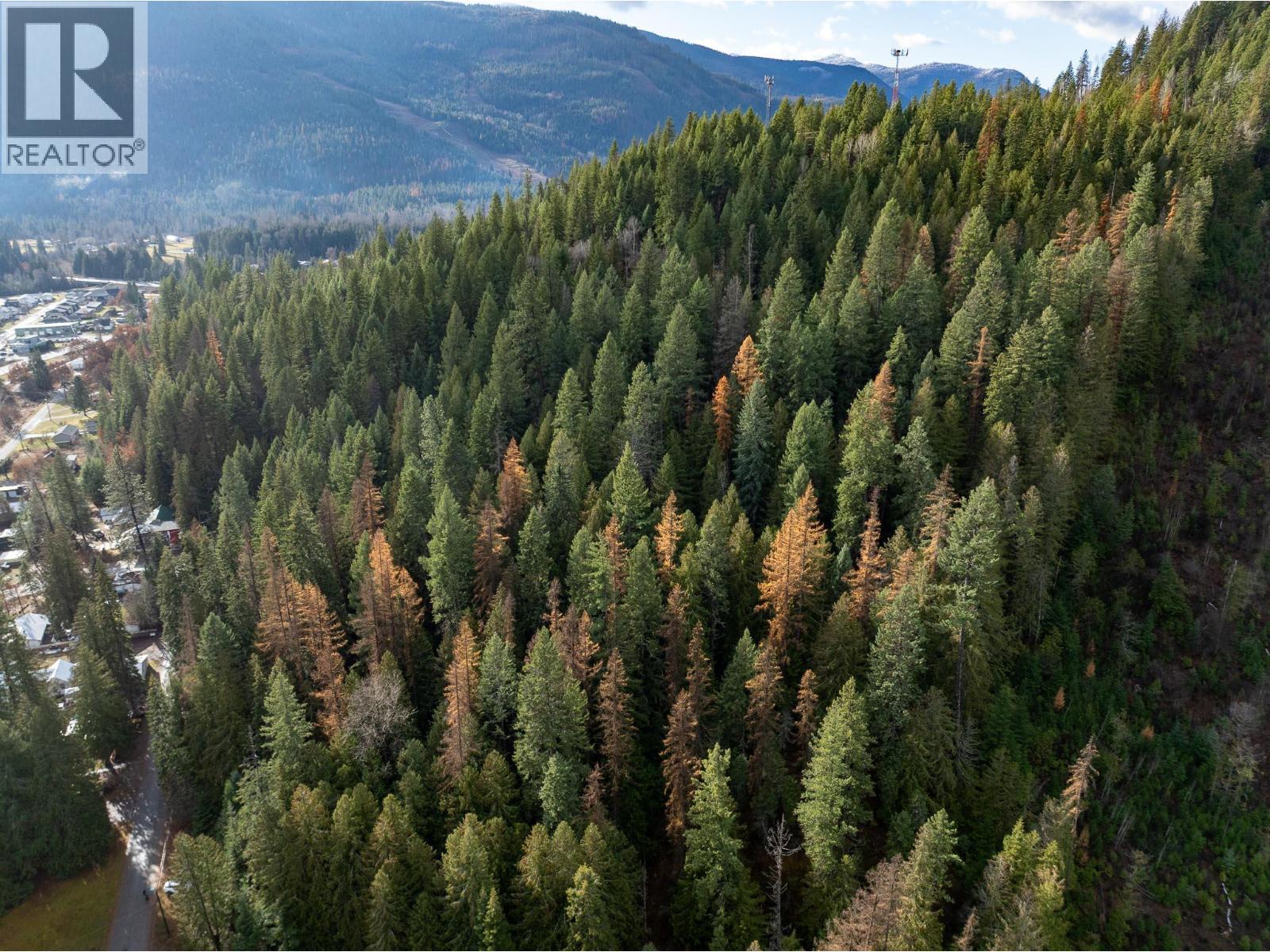 Lot A Maclure Avenue, Salmo, British Columbia  V0G 1Z0 - Photo 26 - 10361436