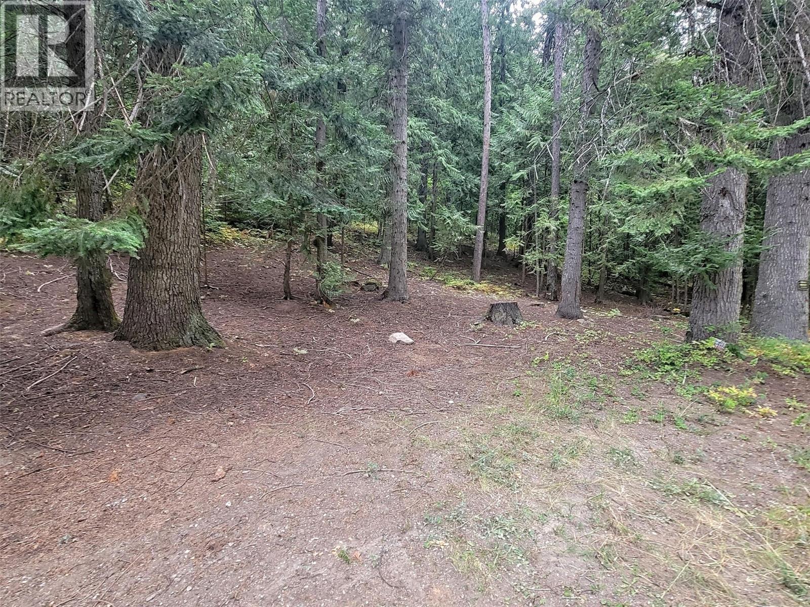 Lot A Maclure Avenue, Salmo, British Columbia  V0G 1Z0 - Photo 14 - 10361436
