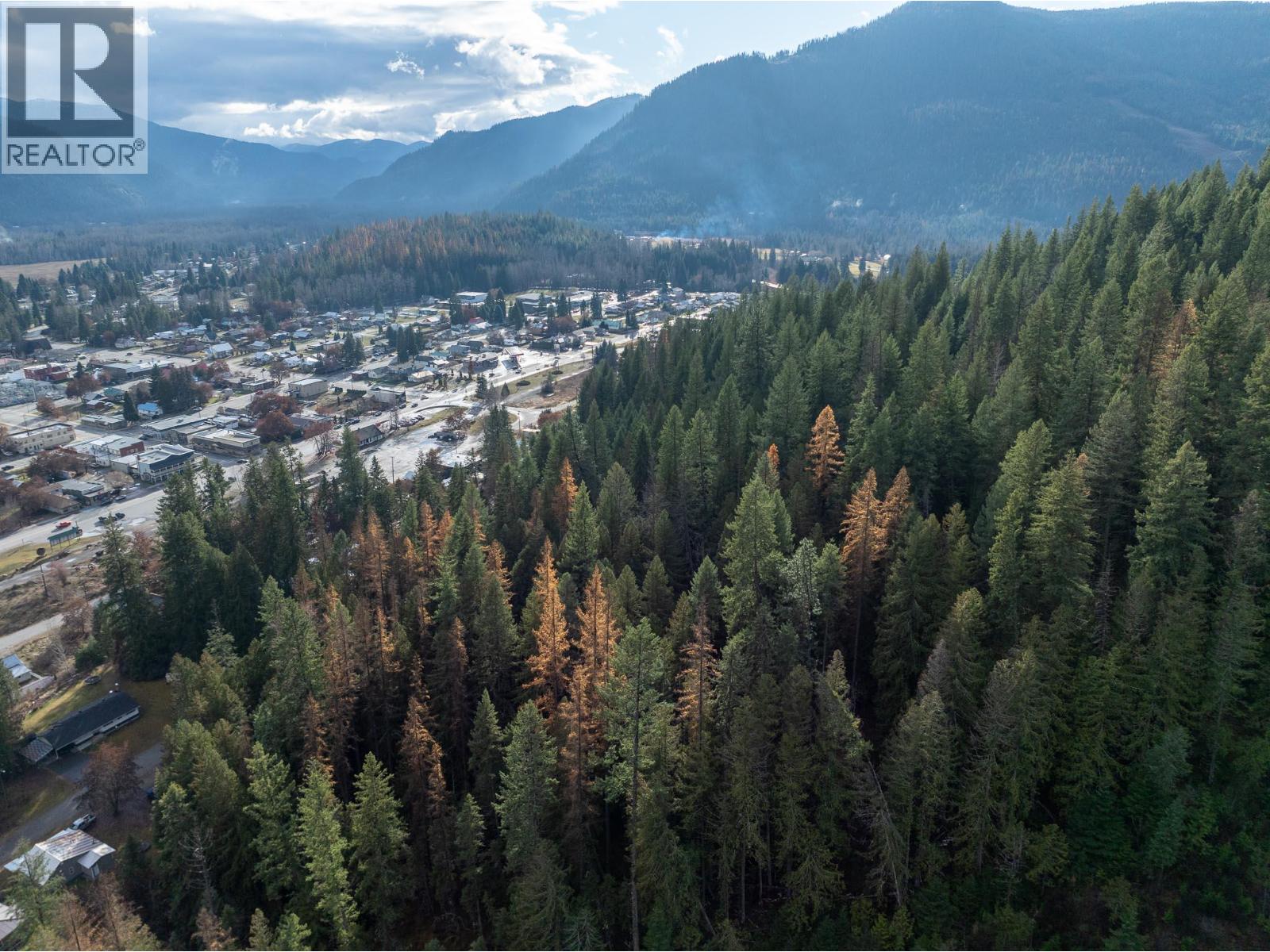 Lot A Maclure Avenue, Salmo, British Columbia  V0G 1Z0 - Photo 6 - 10361436