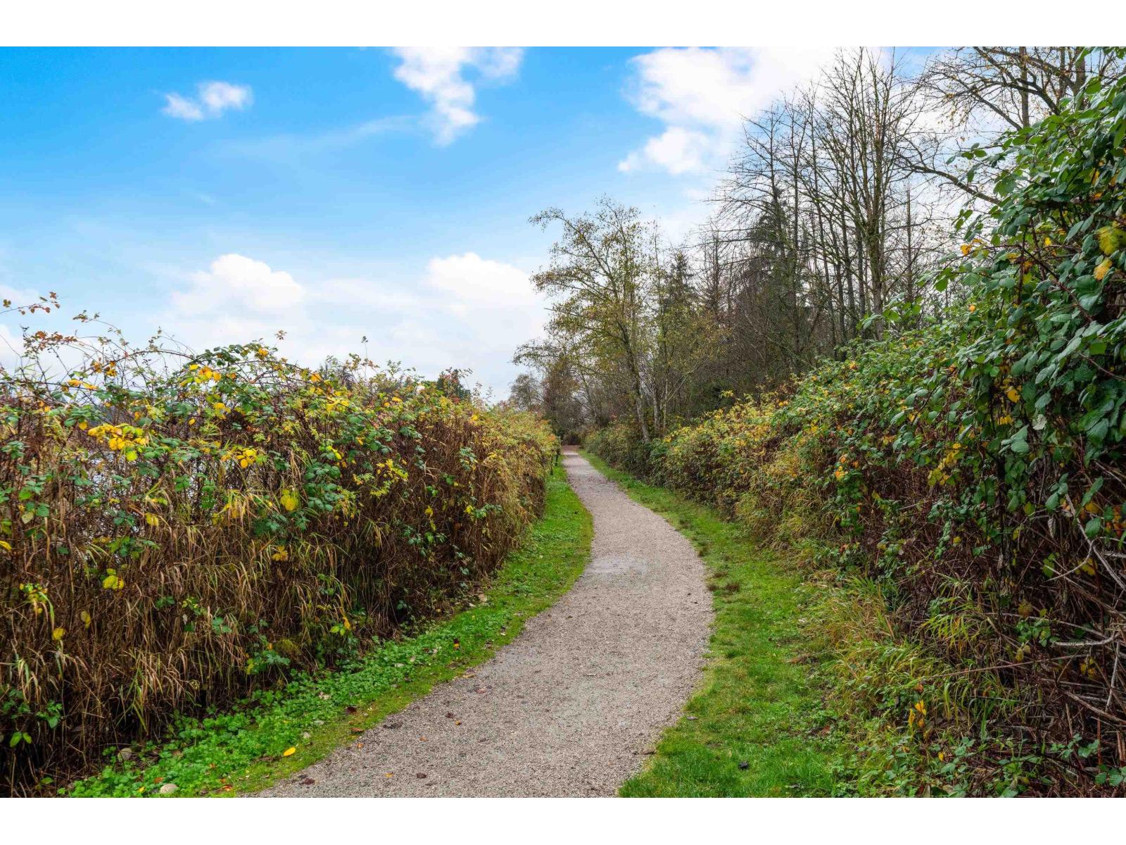 5259 197a Street, Langley, British Columbia  V3A 7Y1 - Photo 39 - R3070439