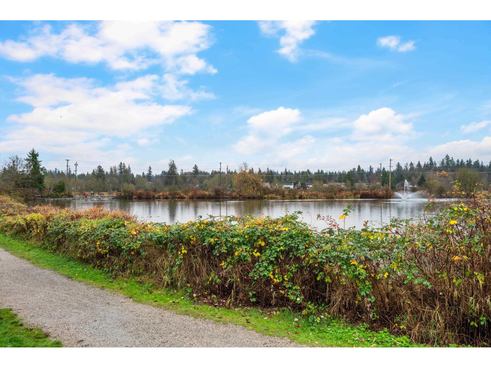 5259 197a Street, Langley, British Columbia  V3A 7Y1 - Photo 38 - R3070439