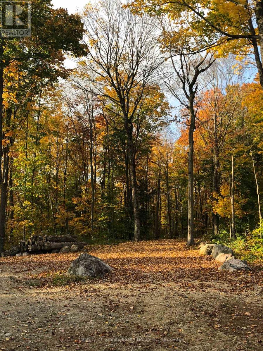 00 Ross Trail, Dysart Et Al, Ontario  K0M 1S0 - Photo 10 - X12579816