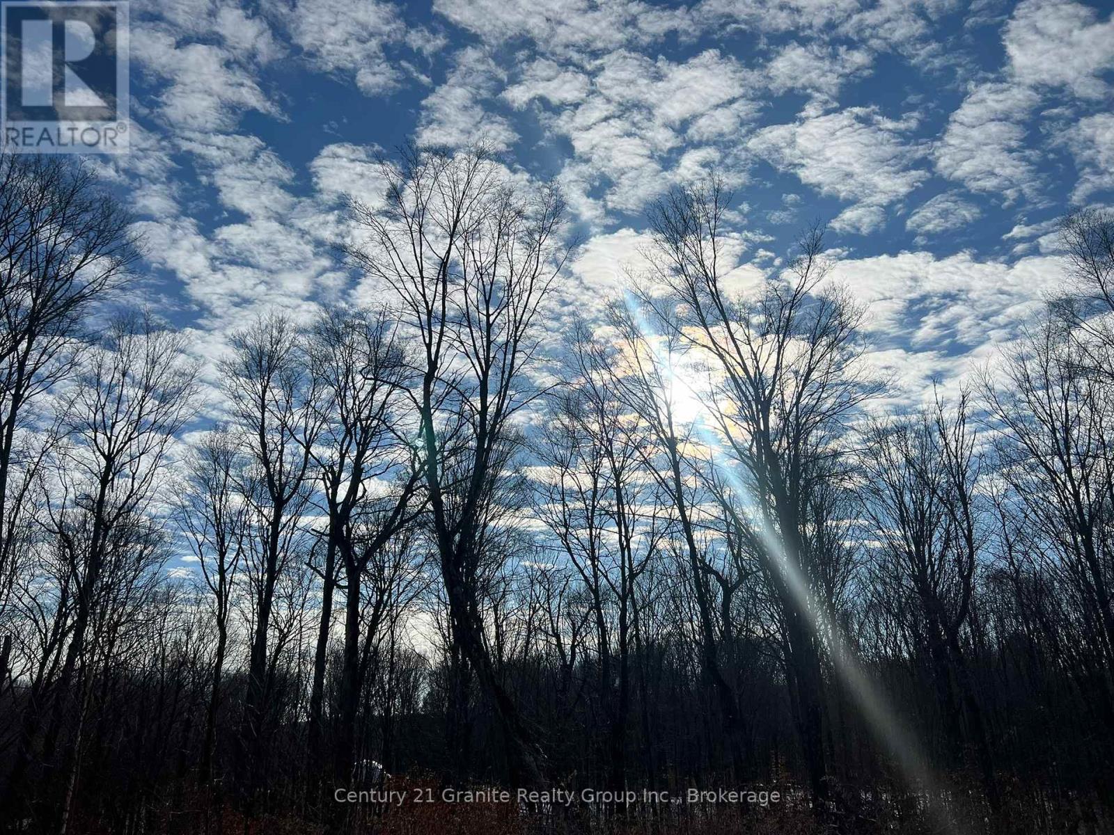 00 Ross Trail, Dysart Et Al, Ontario  K0M 1S0 - Photo 12 - X12579816