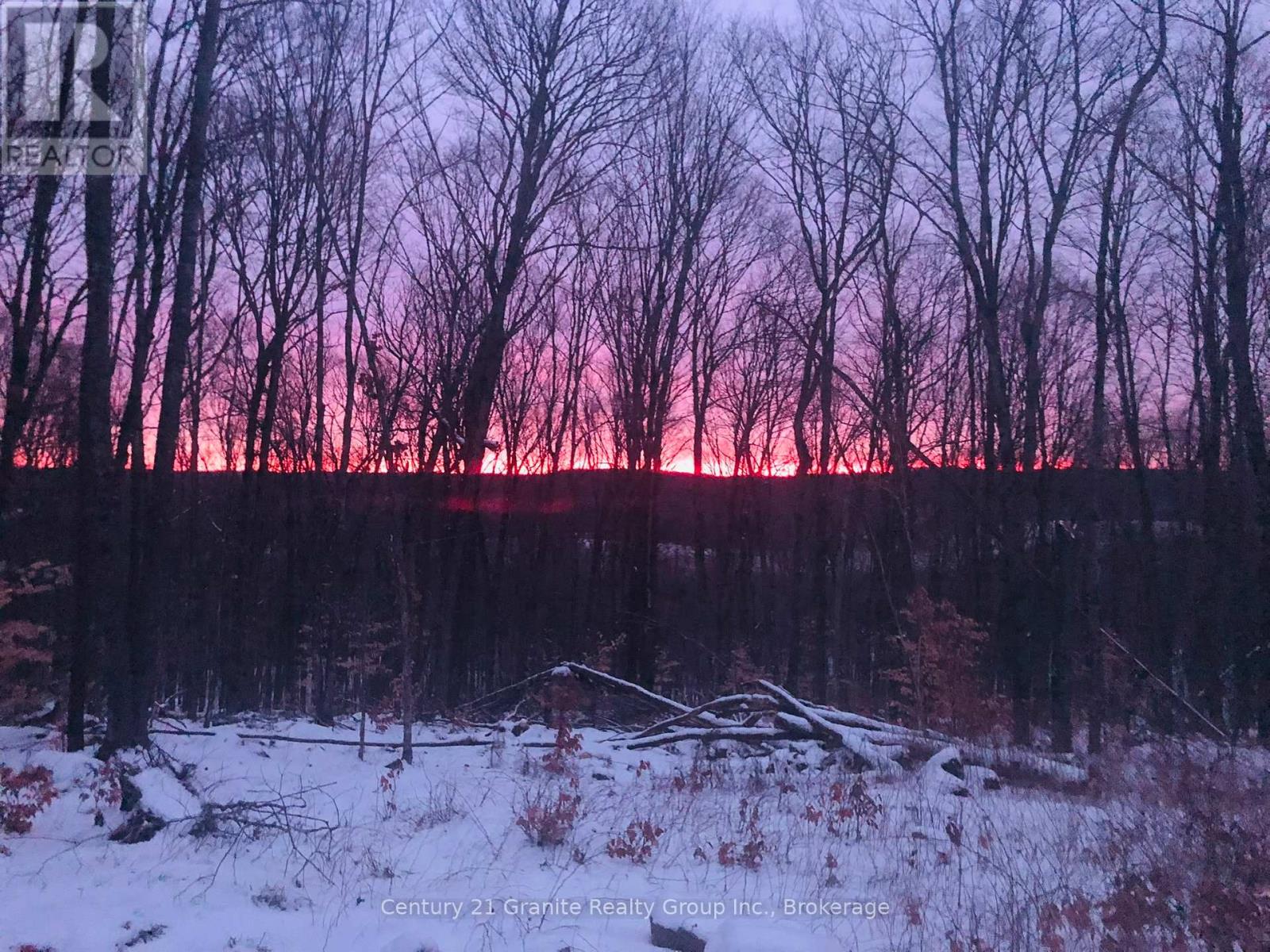 00 Ross Trail, Dysart Et Al, Ontario  K0M 1S0 - Photo 15 - X12579816