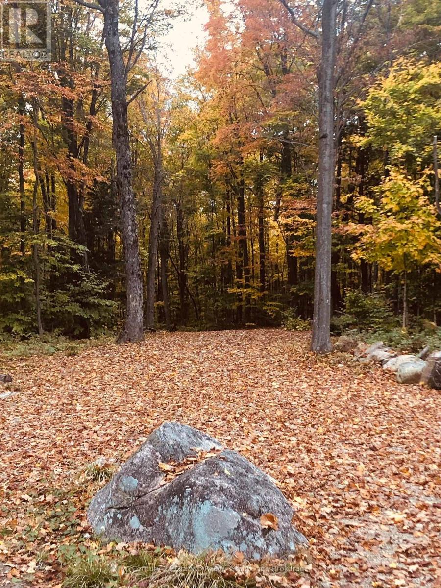 00 Ross Trail, Dysart Et Al, Ontario  K0M 1S0 - Photo 22 - X12579816