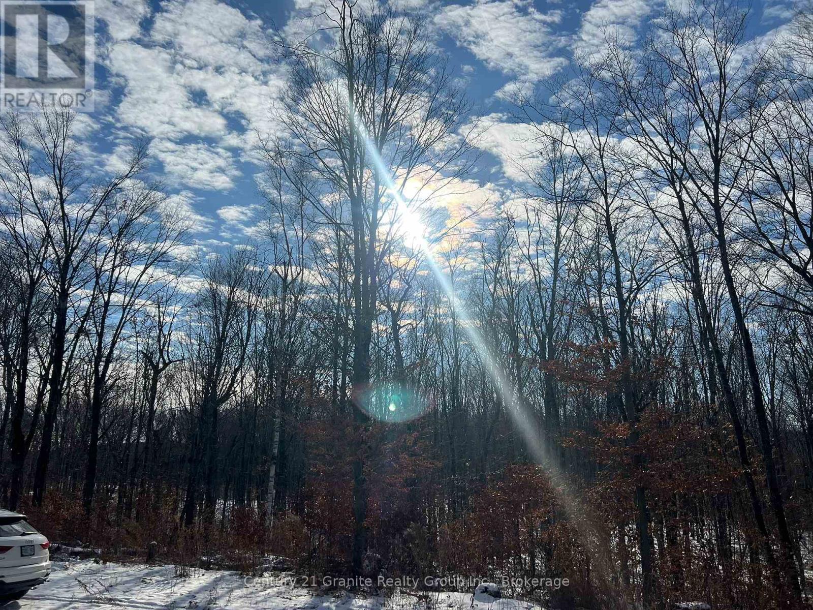 00 Ross Trail, Dysart Et Al, Ontario  K0M 1S0 - Photo 13 - X12579816