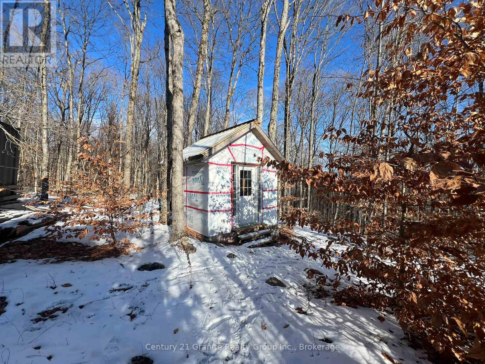 00 Ross Trail, Dysart Et Al, Ontario  K0M 1S0 - Photo 16 - X12579816