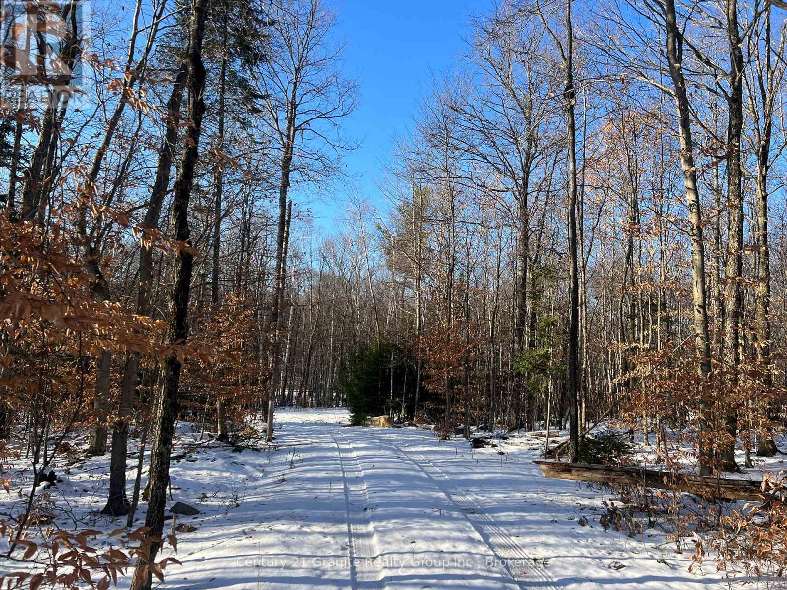 00 Ross Trail, Dysart Et Al, Ontario  K0M 1S0 - Photo 27 - X12579816