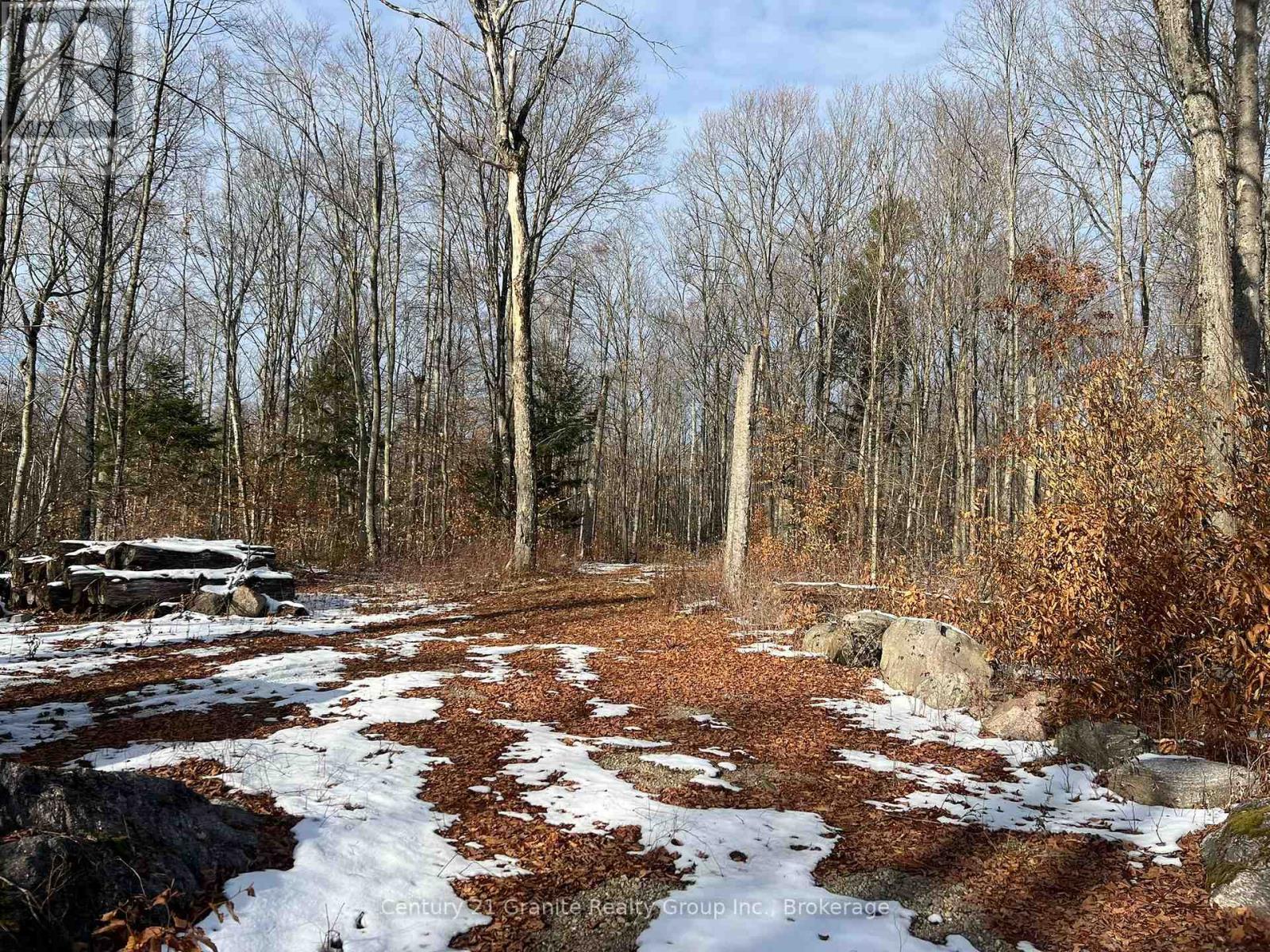 00 Ross Trail, Dysart Et Al, Ontario  K0M 1S0 - Photo 21 - X12579816