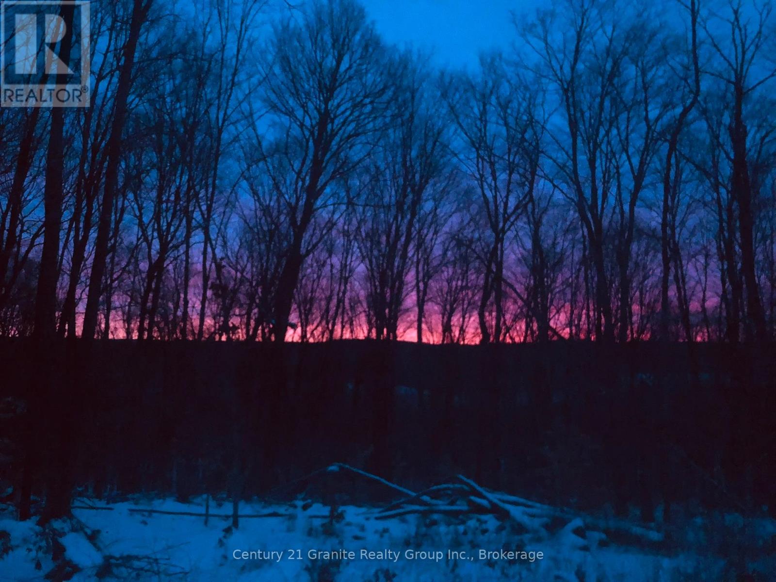 00 Ross Trail, Dysart Et Al, Ontario  K0M 1S0 - Photo 14 - X12579816