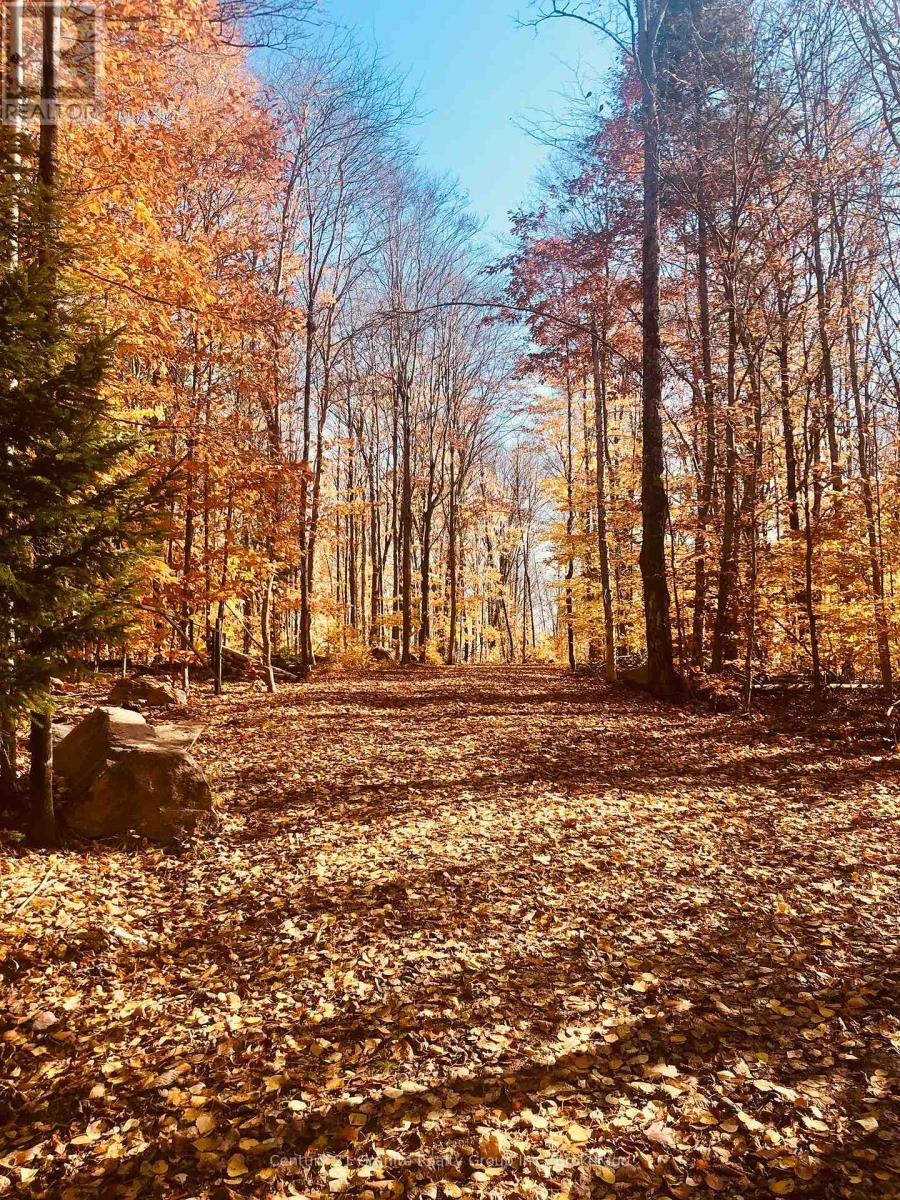 00 Ross Trail, Dysart Et Al, Ontario  K0M 1S0 - Photo 29 - X12579816