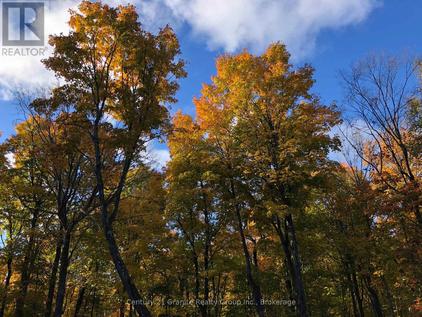 00 Ross Trail, Dysart Et Al, Ontario  K0M 1S0 - Photo 33 - X12579816