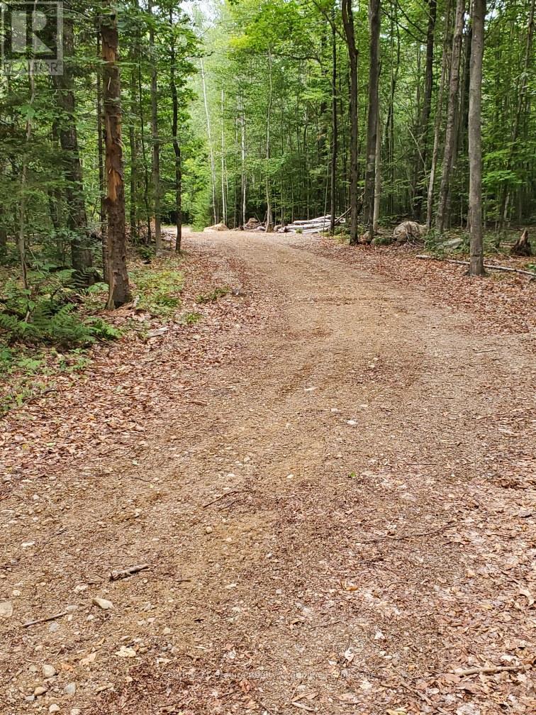 00 Ross Trail, Dysart Et Al, Ontario  K0M 1S0 - Photo 30 - X12579816